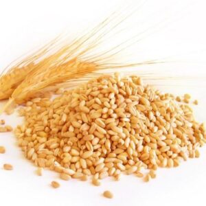 Quality Wheat